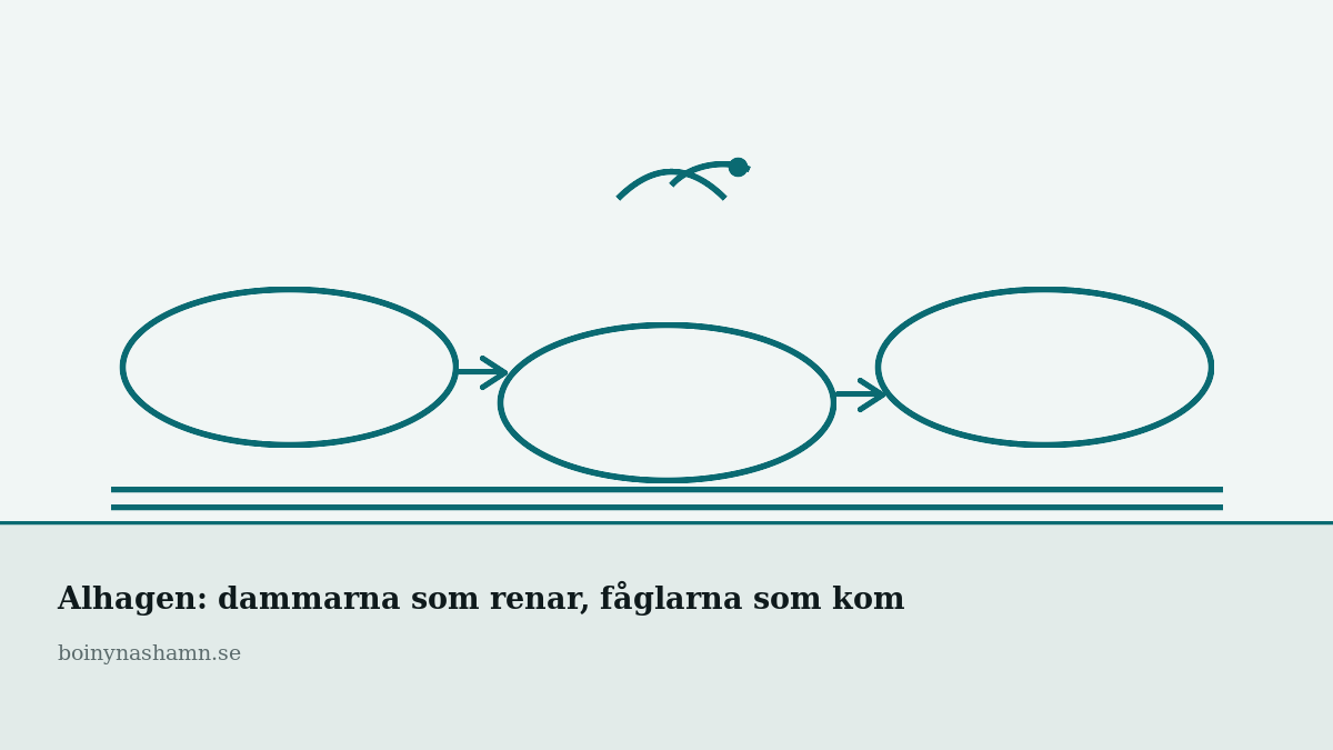 Alhagen byggdes för kvävet. Fåglarna kom av sig själva.
